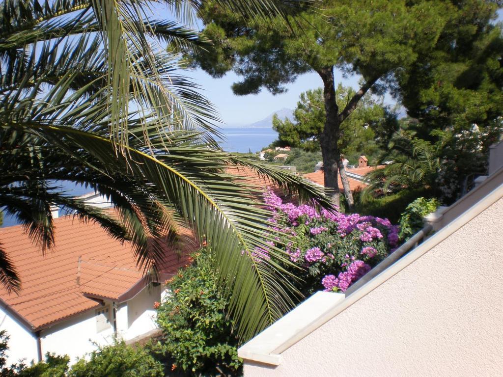 Villa Perla Baška Voda Exteriér fotografie